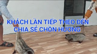 Khách Phước Long chia sẻ chồn hương lần thứ 2 0947411522