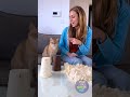😹 My Cat Was Confident 🧠 One Prank Later 🐾