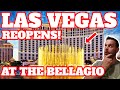 Las Vegas New York New York parking - YouTube