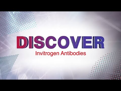 Discover Invitrogen antibodies and choose quality with confidence