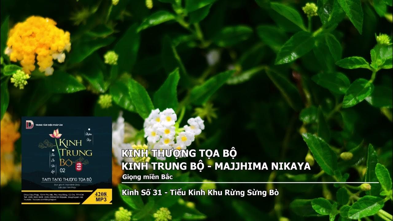 K.Số 31 – Tiểu K.Khu Rừng Sừng Bò giọng miền Bắc 