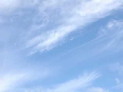 初音ミク　クローバー Clover