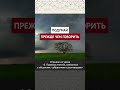 Подумай, прежде чем говорить || Марсэль абу Али #ислам #коран #сунна #нрав #вера #намаз #пост #хадж