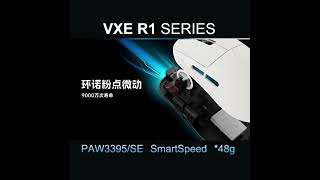 ATK VXE Dragonfly R1 Pro MAX Wireless Gaming Mouse PAW3395 R1 SE