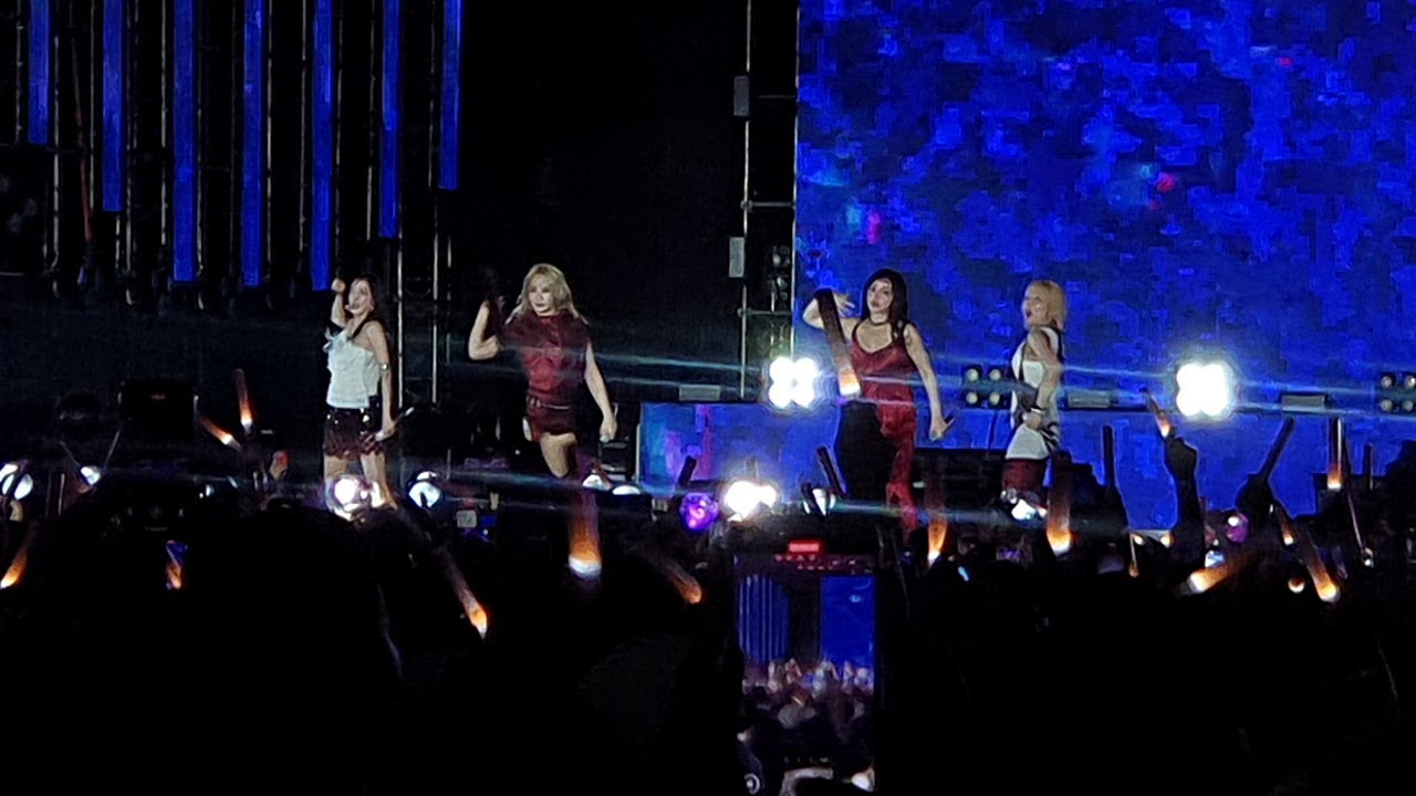 UGLY - I AM THE BEST | 2NE1 | Ganzberg Super Idol Concert