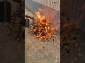 🔥 The Ultimate Propane Torch for BBQ, Camping & DIY!