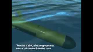 Gliding Across the Ocean for OSS 3-5, Clip #7 for Session 1.7