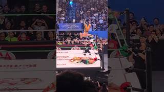 Lince Dorado v Joaquin Wilde v Octagon Jr #luchalibreaaa