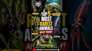 Rare Wildlife Wonders: Top 5 Animals You Won’t Believe Exist
