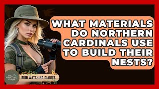 What Materials Do Northern Cardinals Use To Build Their Nests? - Bird Watching Diaries