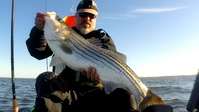 Spring Striped Bass Fishing from New Jersey Bays
