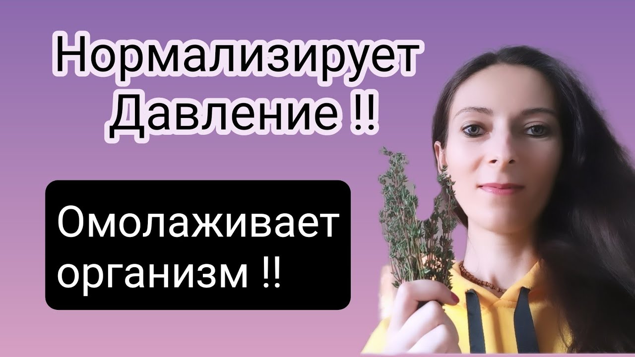 Чабрец противопоказания | Чабрец полезные свойства - YouTube