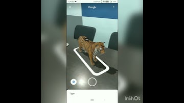3D TIGER in Google (View AR Tiger 3D in Google Search)