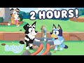 2 HOURS of Bluey Fun with Friends! ✨ 💙 | Play with School Friends | Bluey Mp3 Song
