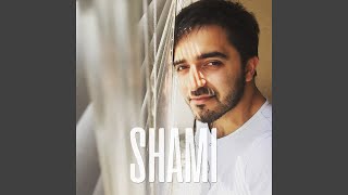 Всё - SHAMI