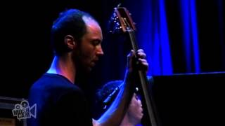 The Cinematic Orchestra - As The Stars Fall | Live in Sydney | Moshcam