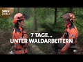 7 Tage... Unter Waldarbeitern | SWR Doku