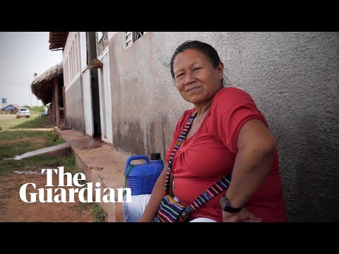 The Brazilian grandma fighting illegal Amazon loggers: 'The men didn't volunteer, so I did' Instructional Video The Brazilian grandma fighting illegal Amazon loggers: 'The men didn't volunteer, so I did' Instructional Video