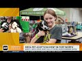 Mega pet adoption event happening in Fort Worth
