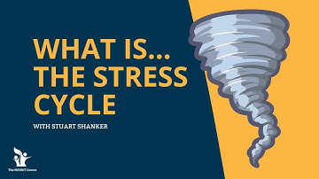 What is... The Stress Cycle? With Stuart Shanker