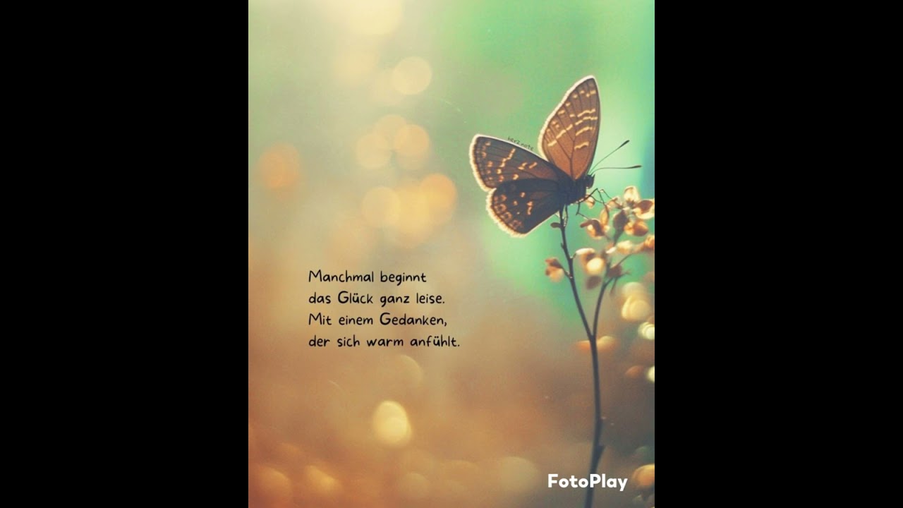 Lucweifon --》Game Keeper ☆