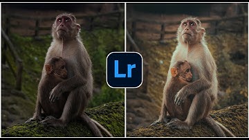 How I Edit Photos in Lightroom 2023 (complete workflow tutorial)