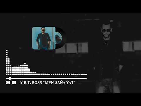 MR.T.BOSS_SEN MENKI DAL