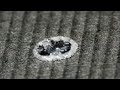 Beginning of video