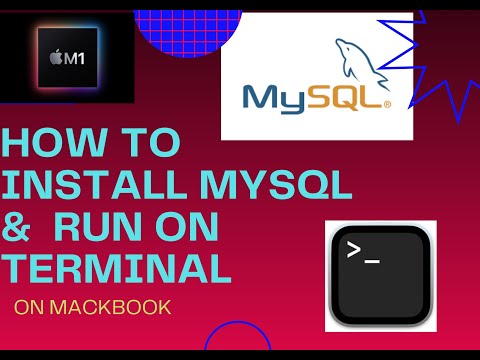 How to install Mysql and Run Example on Terminal in Macbook