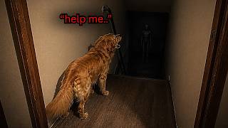 Man Smells Something Rotting in his Basement Then Finds This... | 10 Scary Videos