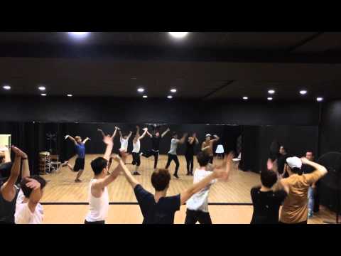 Lion Heart - Girls' Generation/SNSD PARODY by St.319's BOYS