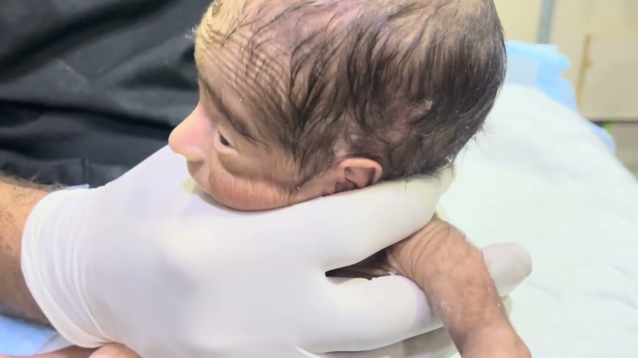 Feeding Tiny Premature Baby 🍼👶 | Gentle Care for a Little Fighter #PrematureBaby #NewbornCare 