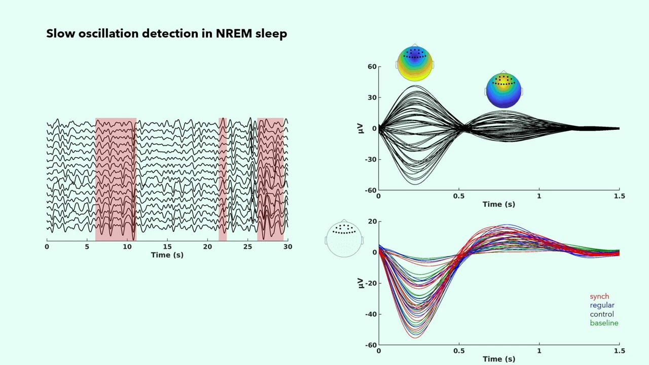 Body-Brain Waves - 27th September '24 - Talk by Andria Pelentriou