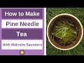 How to Make Pine Needle Tea - plus other questions answered