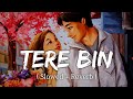Tere Bin Slowed Reverb Song Yaseer Desai Javed Mohsin Zayn Ibad Khan Khushi Dubey DRJ Tere Bin Slowed Reverb Song Yaseer Desai Javed Mohsin Zayn Ibad Khan Khushi Dubey DRJ
