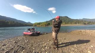 Fly Fishing Chile - King Salmon - Rototom Outfitters