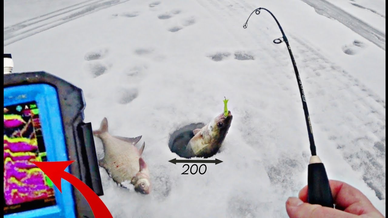 ГДЕ ЛЕЩ, ТАМ И СУДАК! РЕКОРДНАЯ ЛУНКА с ПОКЛЁВКАМИ КАК НАДО/ рыбалка на судака 2026 Дон 