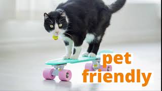 Rf Bumper 1 Pet Friendly
