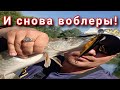 Рыбалка на воблеры. Родился сын прямо на рыбалке!