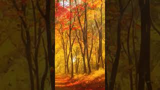 Autumn Forest Screensaver 4K #short #shorts #shortvideo #shortsvideo #youtubeshorts #youtubeshort