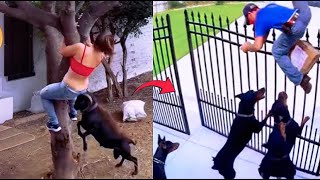 Famous Most funniest video in the world EP 22 Wealth