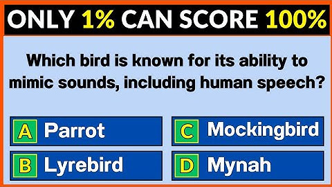 General Knowledge Quiz | Only 1% Can Score 100% – Can You?
