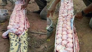 15 Most Unique Eggs In The World
