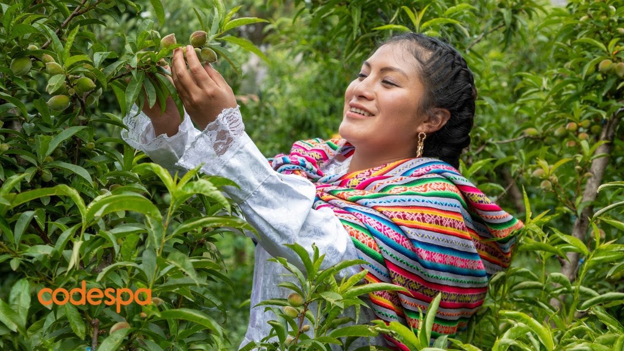 CODESPA, 40 años caminando juntos