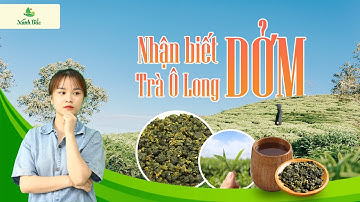 Cách phân biệt nhận biết  trà olong dởm và trà o long cao cấp