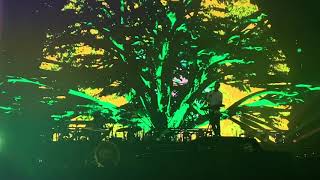 twenty one pilots - Trees (Leeds Festival 2019) [TYLER SAYS GOODBYE]