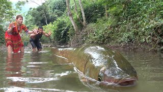 Amazing Giant Fishing. Survival Find Meet Catch Fish Giant Carp on River