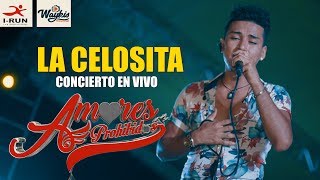 Video thumbnail of "LA CELOSITA | EN VIVO | AMORES PROHIBIDOS (EXCLUSIVO 2019)"