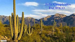 Pacifico  Nature & Naturaleza - Happy Birthday