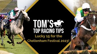 Lucky 15 | Cheltenham Festival 2023 Content